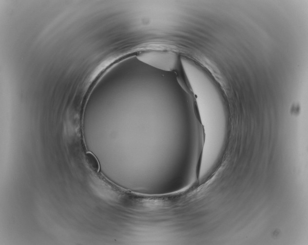 X0000091591465200709101030