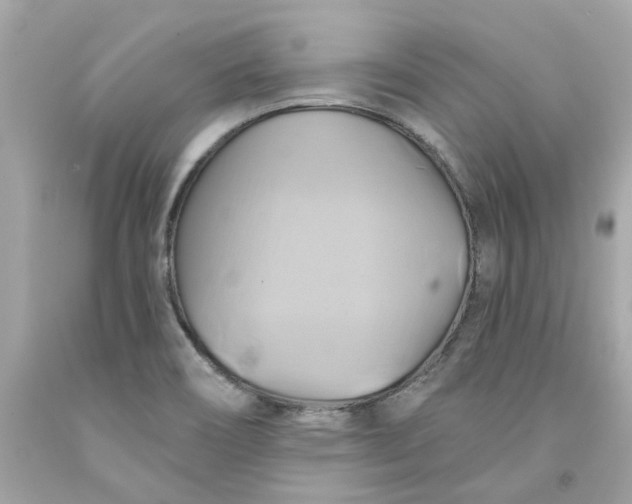 X0000091591466200709101030