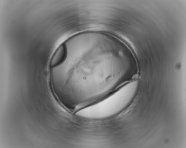 X0000091591467200709101030