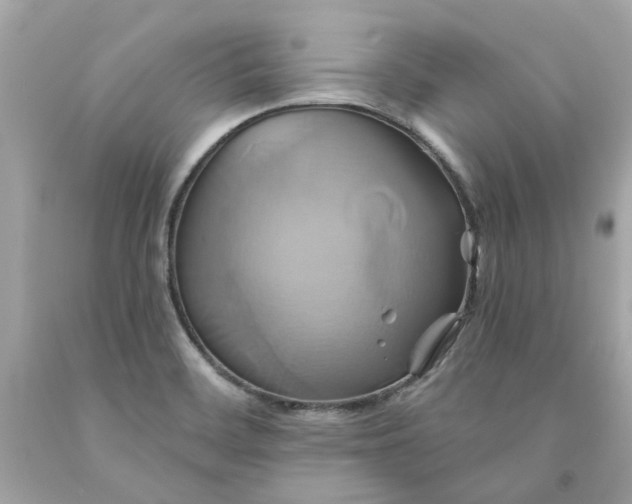 X0000091591468200709101030