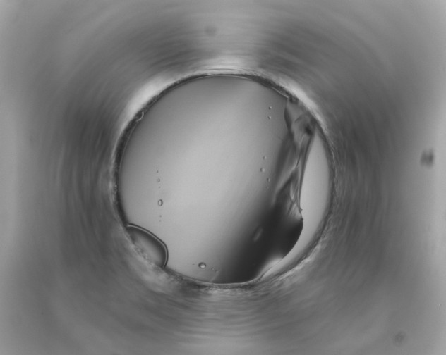 X0000091591469200709101030