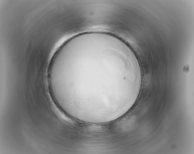 X0000091591470200709101030