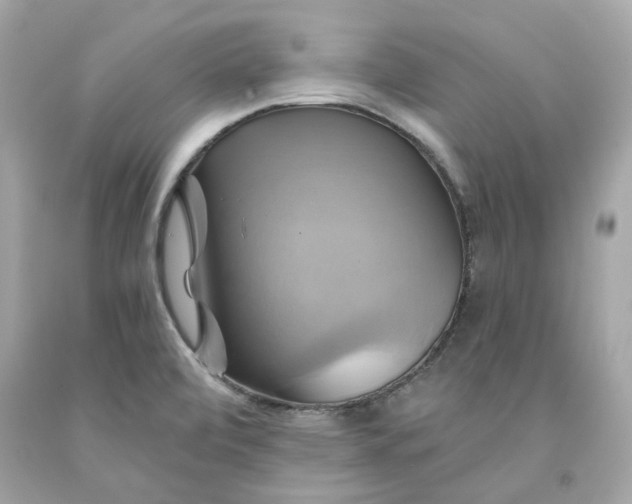 X0000091591472200709101030