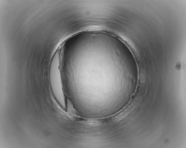 X0000091591473200709101030