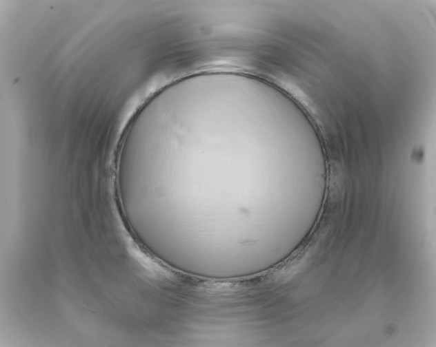 X0000091591474200709101030