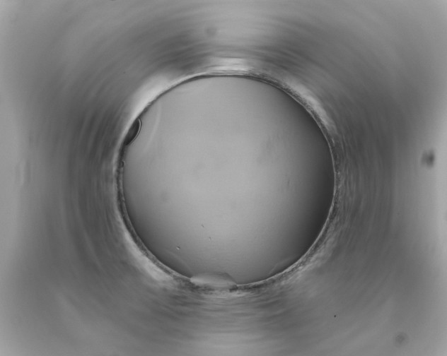 X0000091591475200709101030