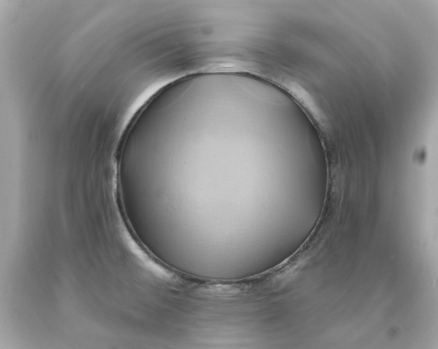 X0000091591476200709101030