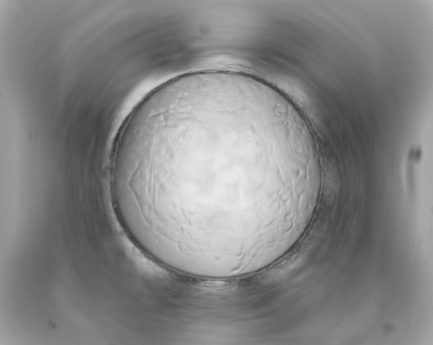 X0000091591478200709101030