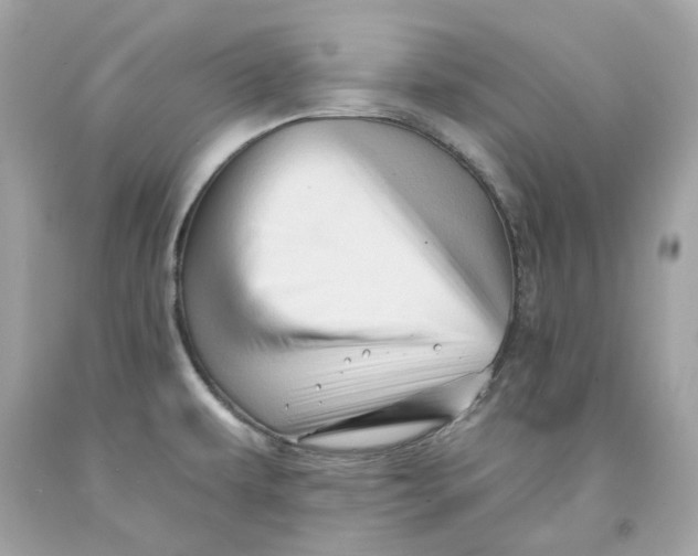 X0000091591479200709101030