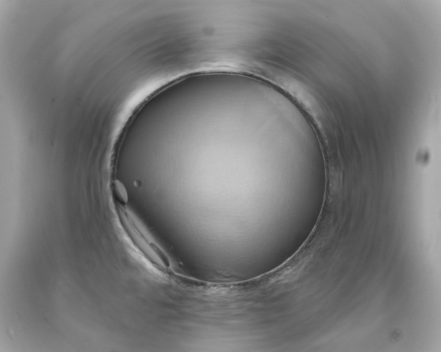 X0000091591480200709101030