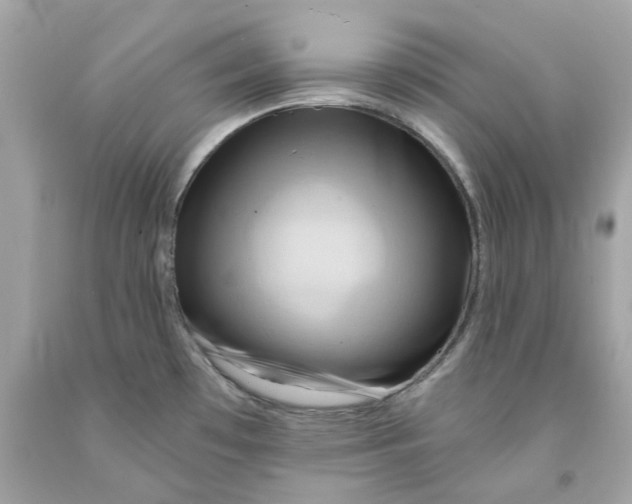 X0000091591481200709101030