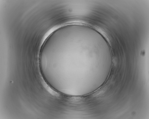 X0000091591482200709101030