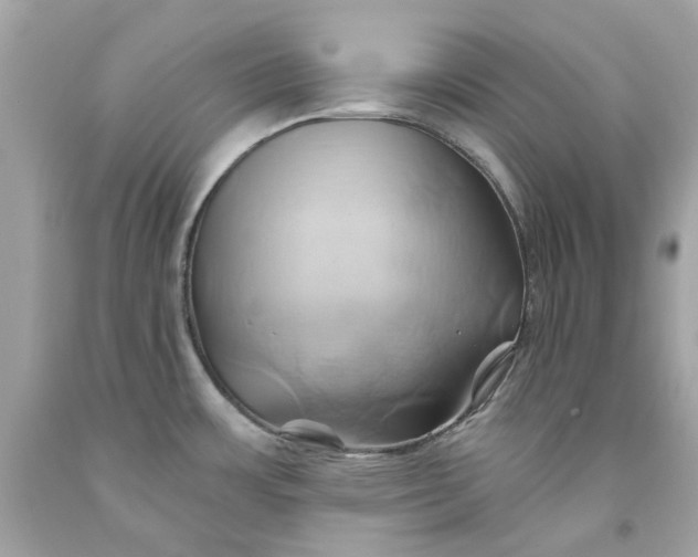 X0000091591483200709101030