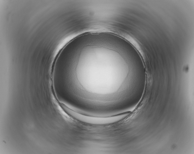 X0000091591485200709101030