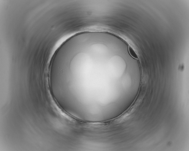 X0000091591486200709101030