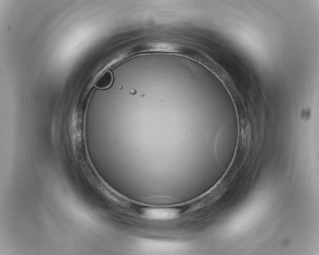 X0000091591487200709101030