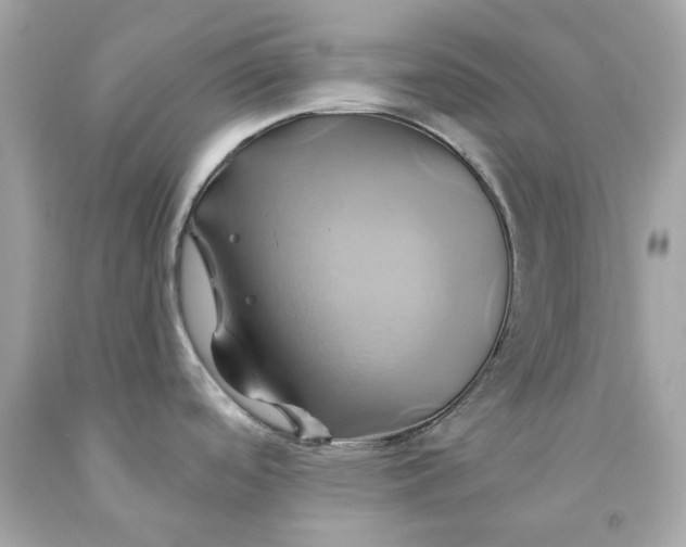 X0000091591488200709101030