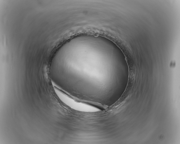 X0000091591490200709101029