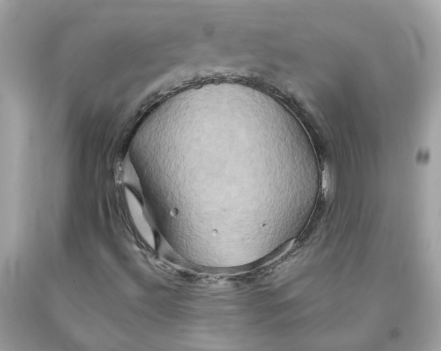 X0000091591492200709101029