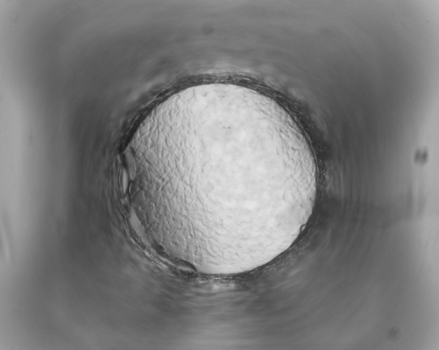 X0000091591493200709101029