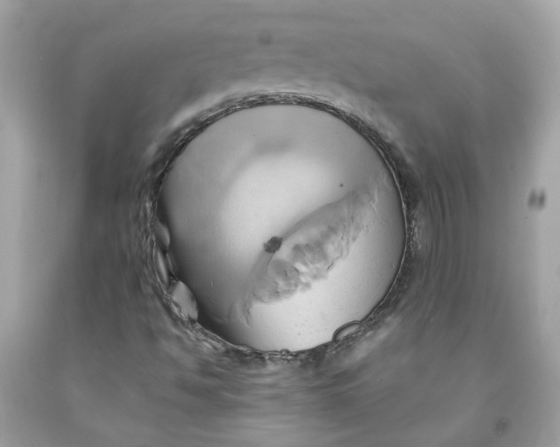 X0000091591494200709101029