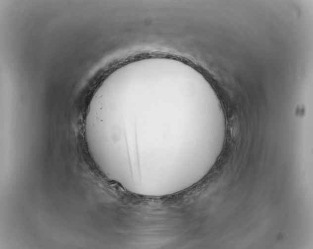 X0000091591495200709101029