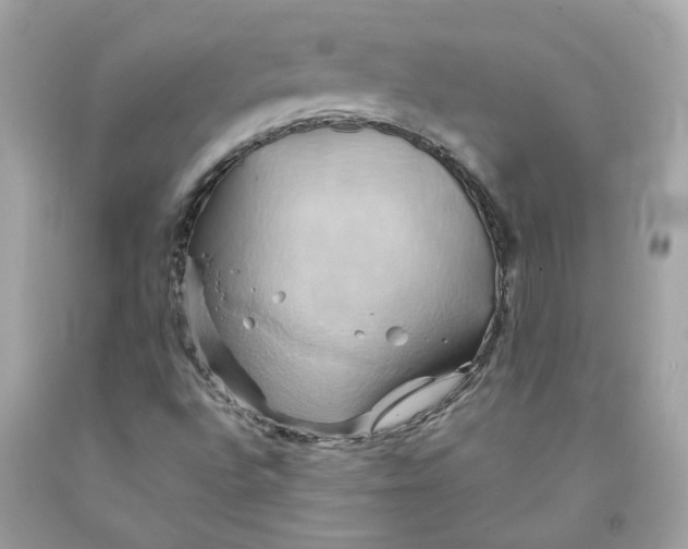 X0000091591496200709101029