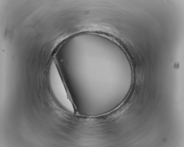 X0000091591497200709101029