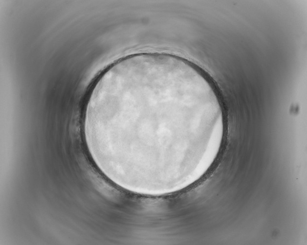 X0000091591498200709101029