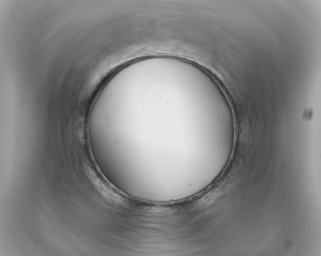 X0000091591499200709101029