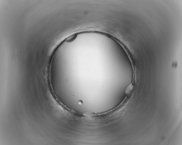 X0000091591500200709101029