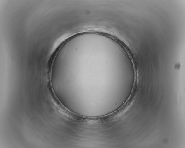 X0000091591501200709101029