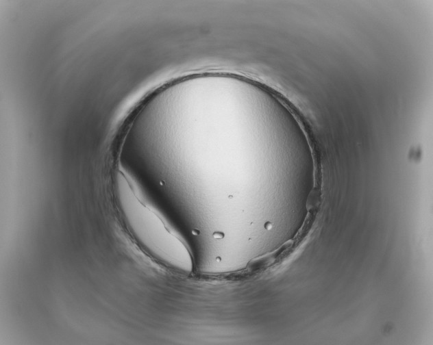 X0000091591502200709101029