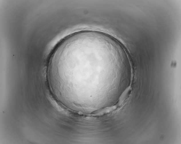 X0000091591503200709101029