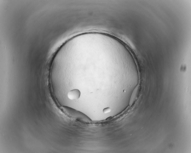 X0000091591504200709101029