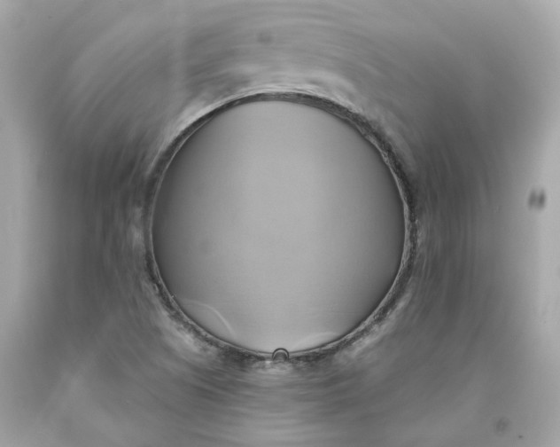 X0000091591505200709101029