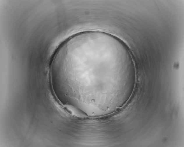 X0000091591507200709101029