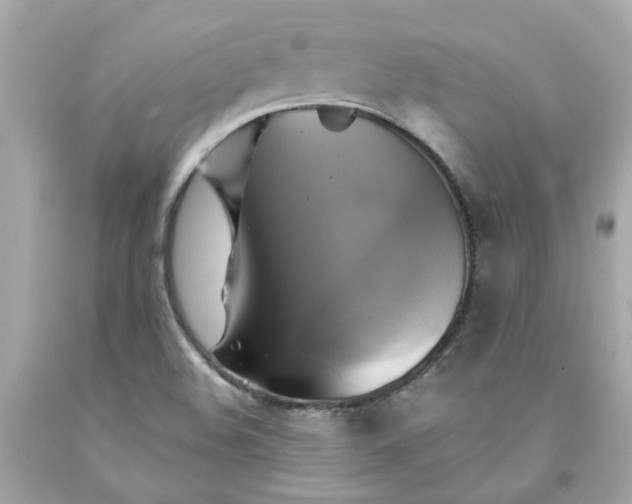 X0000091591508200709101029