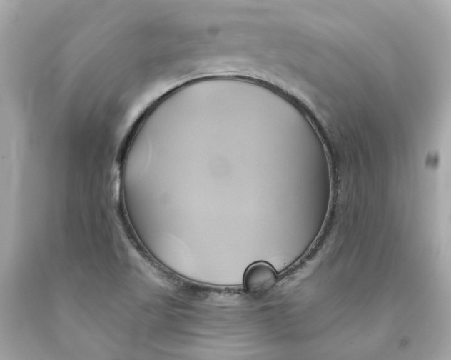 X0000091591509200709101029