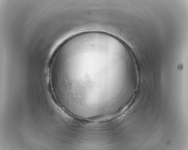 X0000091591510200709101029