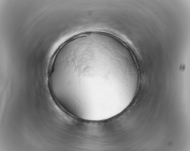 X0000091591512200709101029