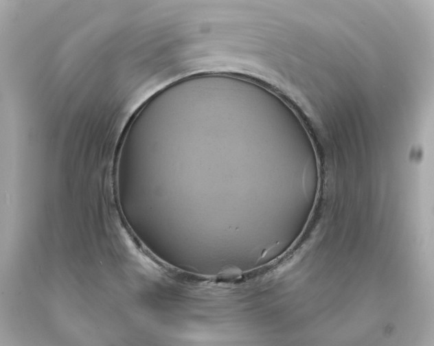 X0000091591513200709101029