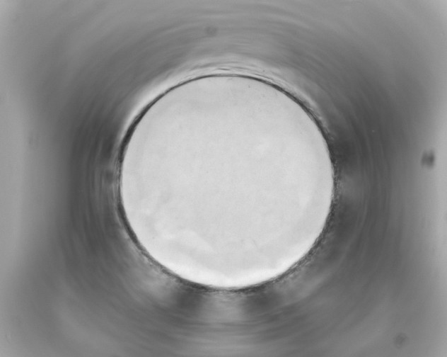 X0000091591514200709101029