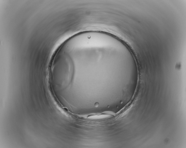 X0000091591517200709101029