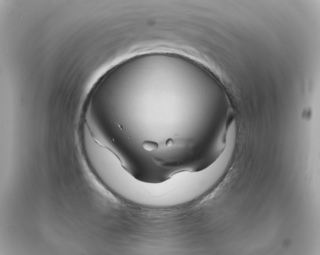 X0000091591518200709101029