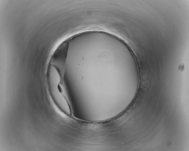 X0000091591519200709101029