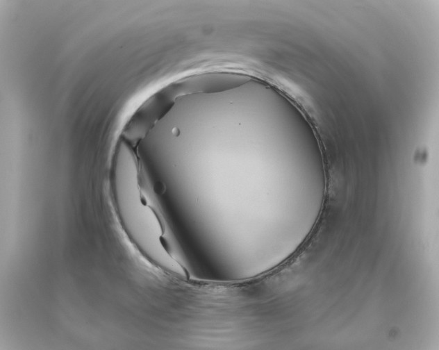 X0000091591520200709101029