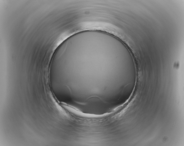 X0000091591521200709101029