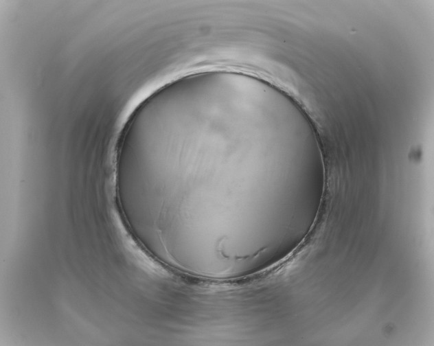 X0000091591522200709101029