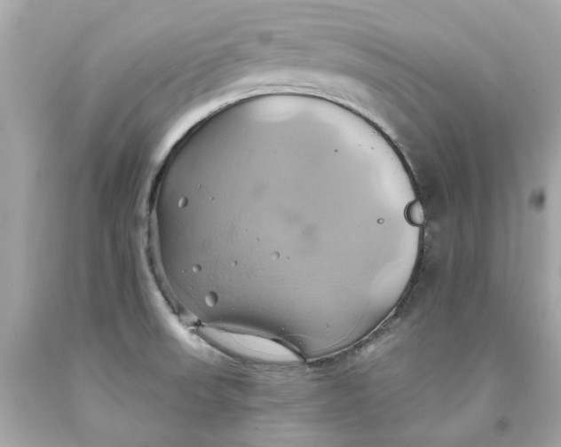 X0000091591523200709101029